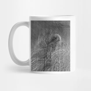 NASA Venus: Lakshmi Planum Mug